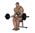EZ Bar Curl - Seated Close Narrow